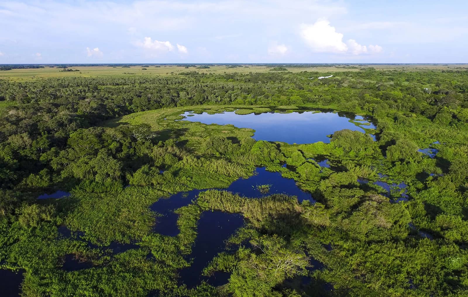 Pantanal Wetlands, Mato Grosso