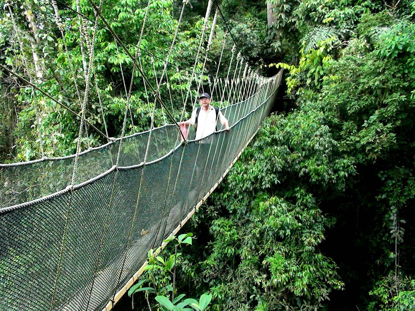 Discover Kinabalu National Park, Sabah