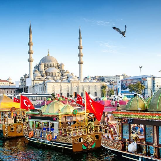 Istanbul - Return to the Vibrant City