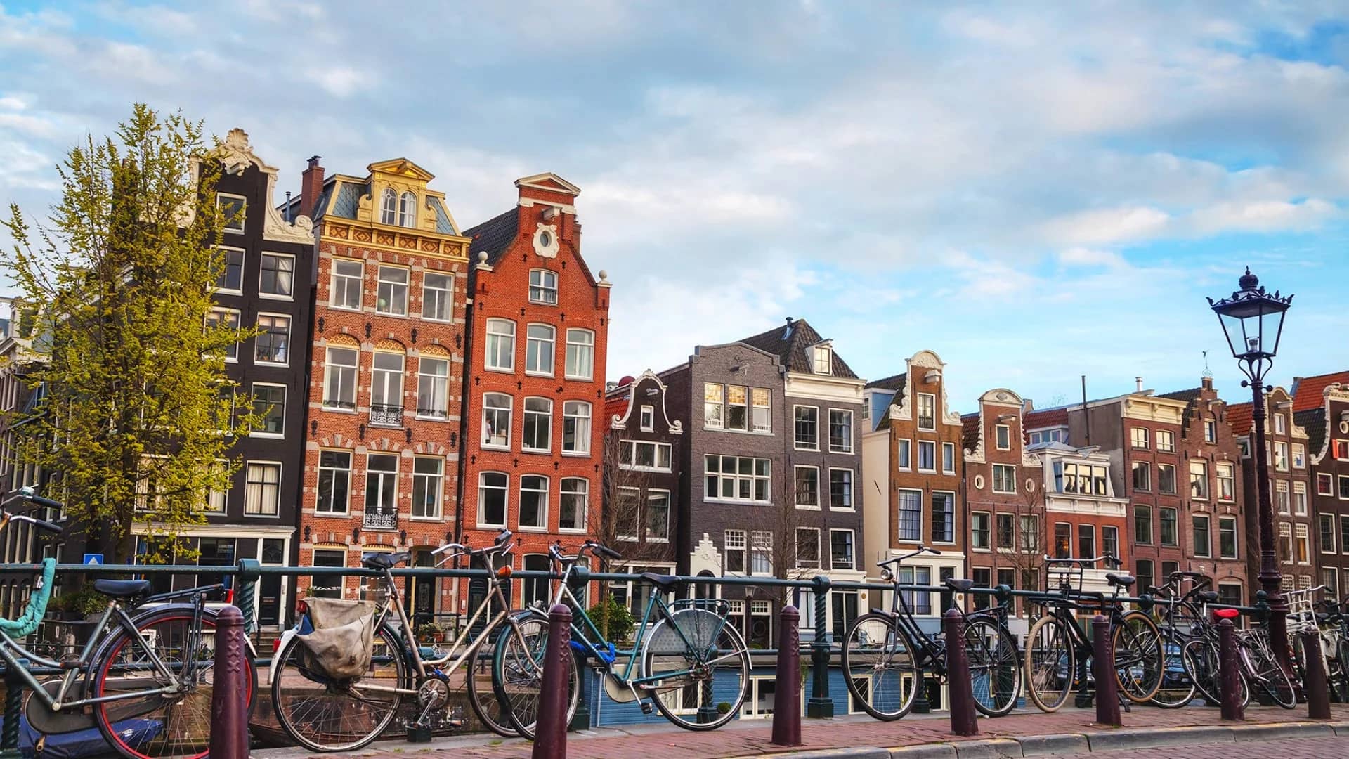The Netherlands Travel Guide